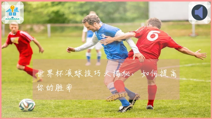 世界杯滚球技巧大揭秘，如何提高你的胜率