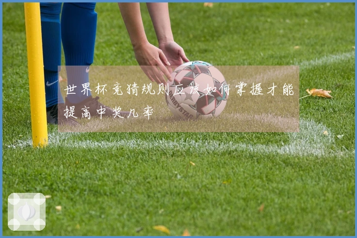 世界杯竞猜规则应该如何掌握才能提高中奖几率