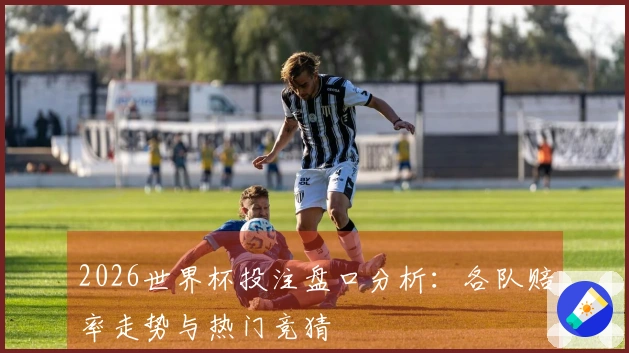 2026世界杯投注盘口分析：各队赔率走势与热门竞猜