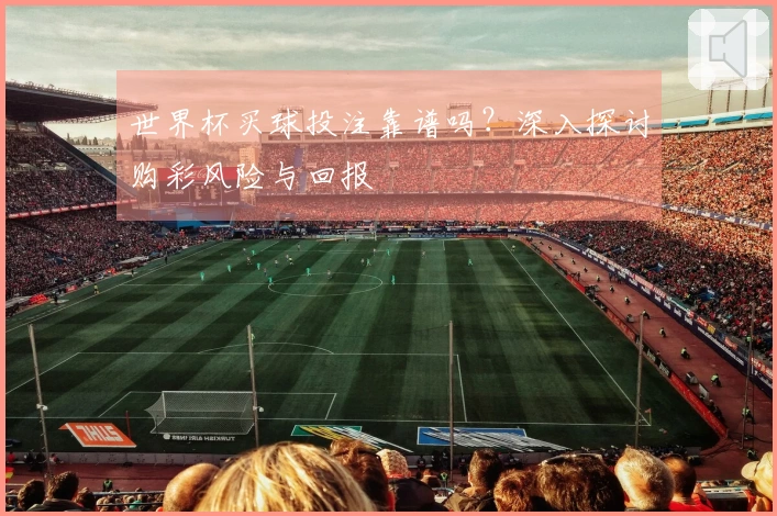 世界杯买球投注靠谱吗？深入探讨购彩风险与回报