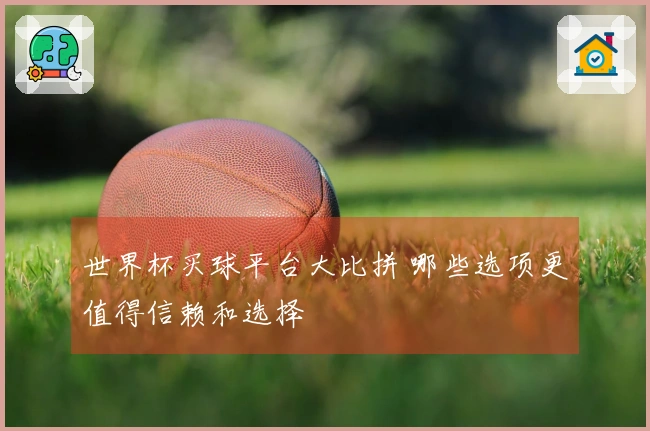 世界杯买球平台大比拼 哪些选项更值得信赖和选择
