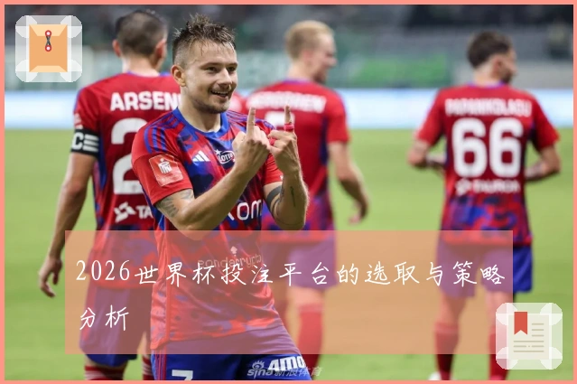 2026世界杯投注平台的选取与策略分析
