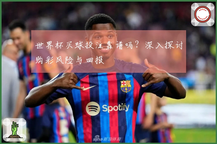 世界杯买球投注靠谱吗？深入探讨购彩风险与回报