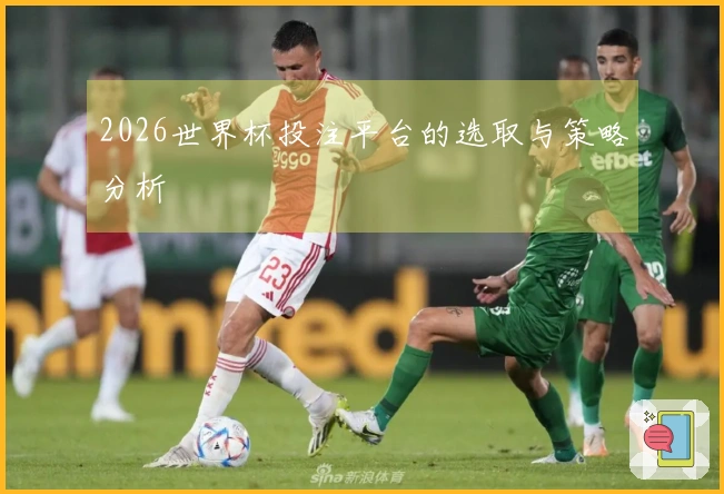 2026世界杯投注平台的选取与策略分析