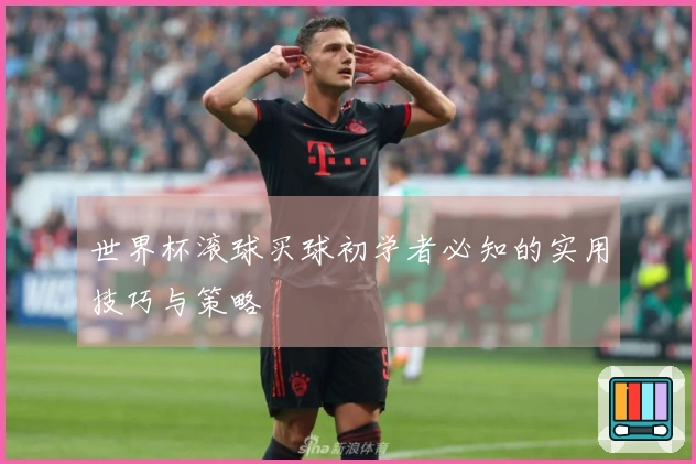 世界杯滚球买球初学者必知的实用技巧与策略
