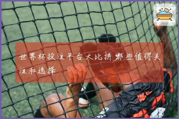 世界杯投注平台大比拼 哪些值得关注和选择