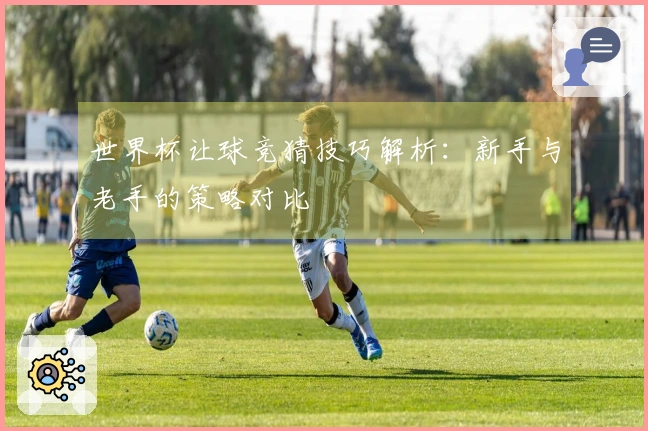 世界杯让球竞猜技巧解析：新手与老手的策略对比